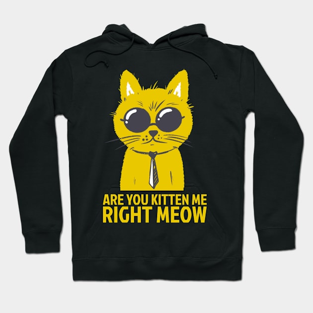 are you kitten me right meow cat kitty sun glasses kidding Hoodie by auviba-design